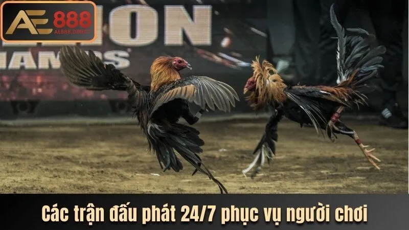 Các trận đấu phát 24/7 phục vụ người chơi