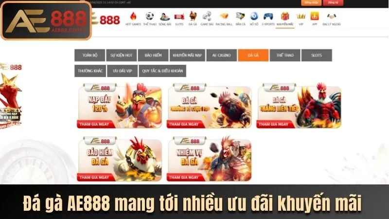 da-ga-ae888-mang-toi-nguoi-choi-nhieu-uu-dai-khuyen-mai-hap-dan