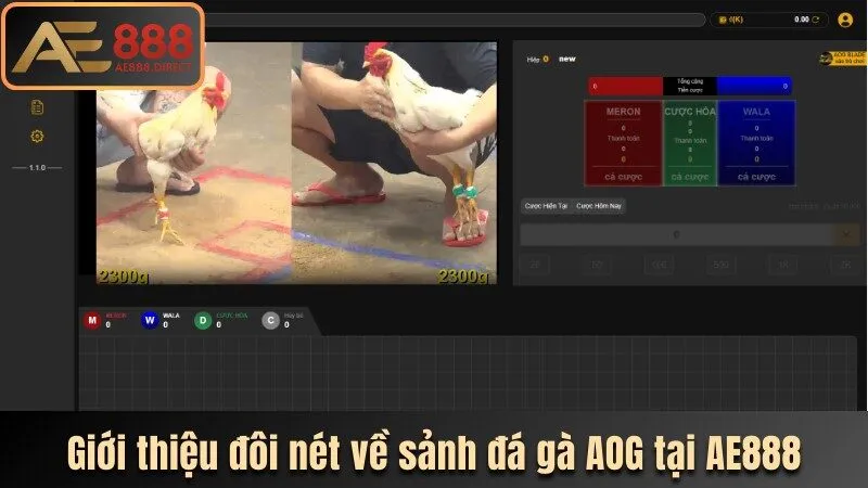 Đôi nét về sảnh đá gà AOG tại AE888