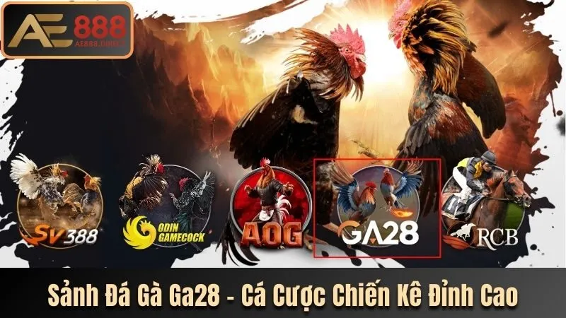 Đá Gà Ga28