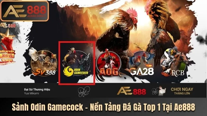 Odin Gamecock